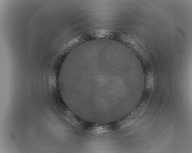 X0000112860569200908281606