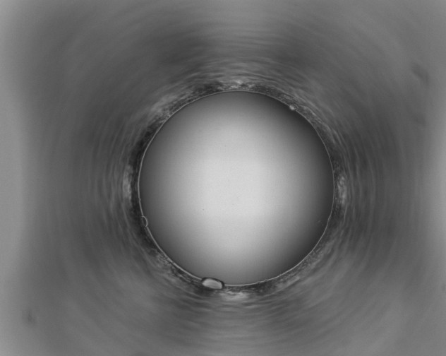 X0000112860570200908281606