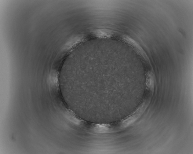 X0000112860573200908281606