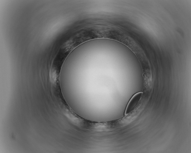 X0000112860574200908281606