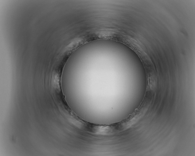 X0000112860575200908281606