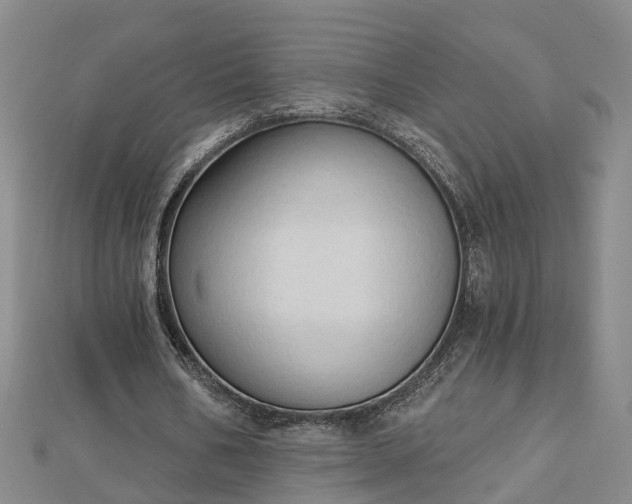 X0000112860578200908281606