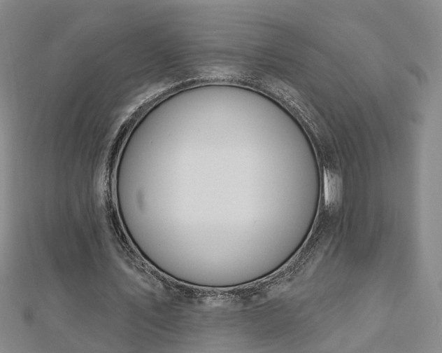 X0000112860579200908281606