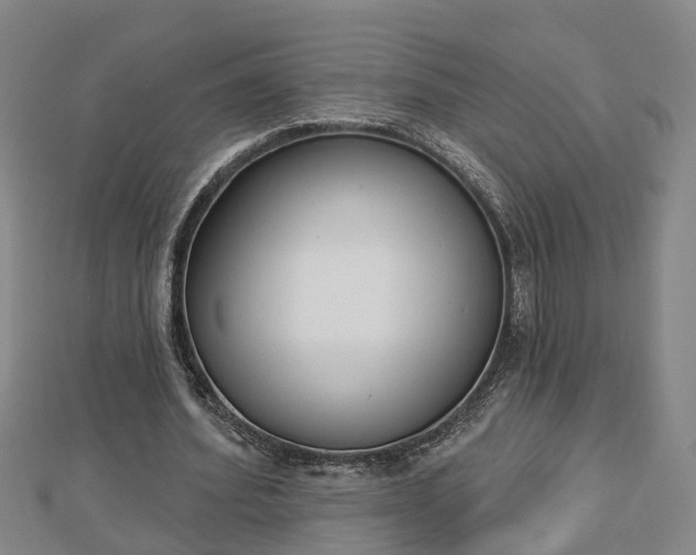 X0000112860580200908281606