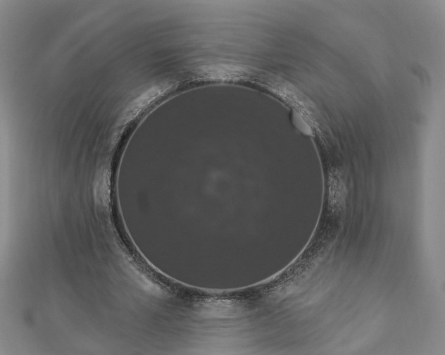 X0000112860581200908281606