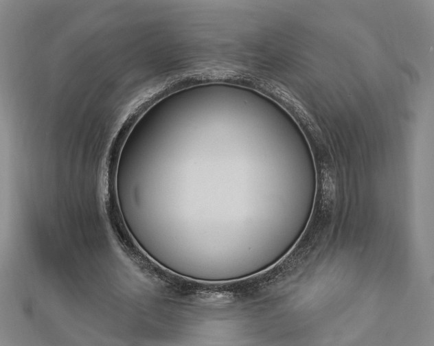 X0000112860582200908281606