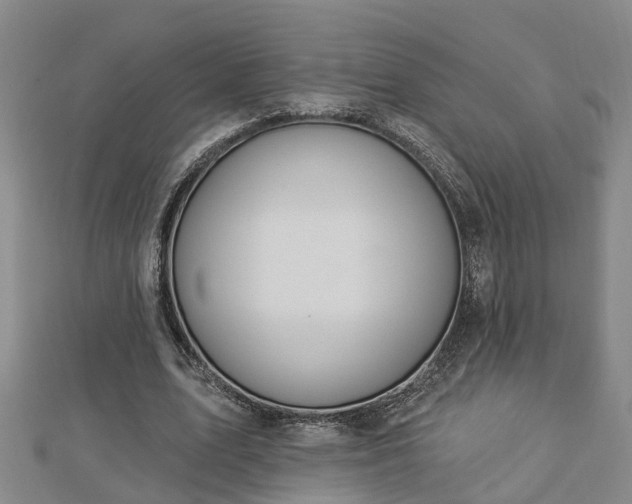 X0000112860583200908281606