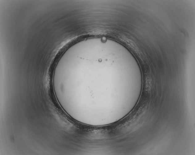 X0000112860584200908281606