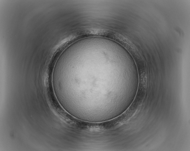X0000112860587200908281606