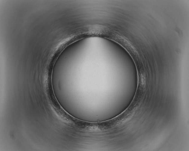 X0000112860588200908281606