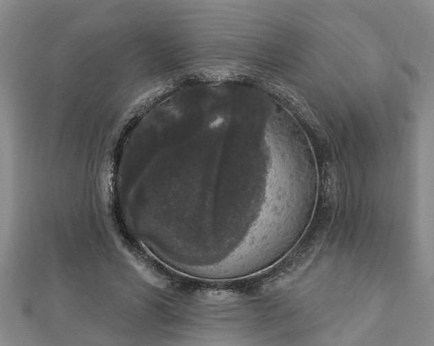 X0000112860590200908281606