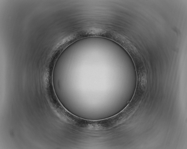X0000112860591200908281606
