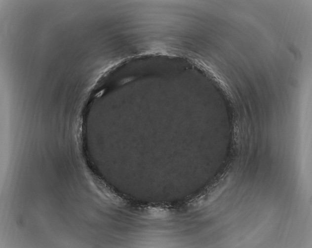 X0000112860592200908281606