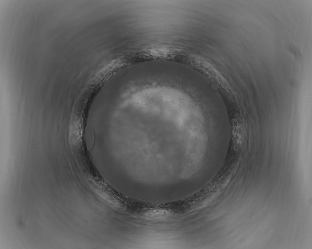 X0000112860593200908281606