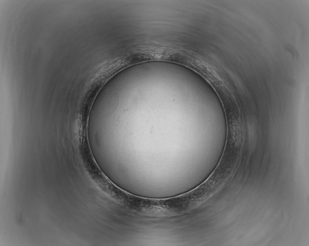 X0000112860594200908281606