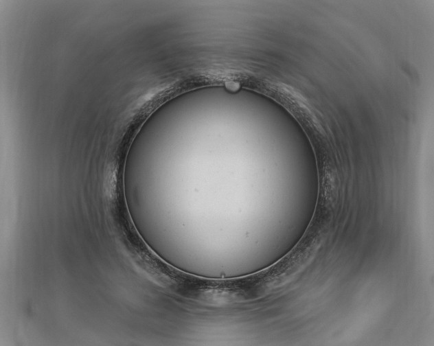 X0000112860596200908281606