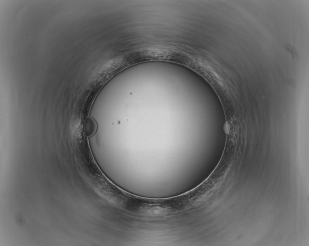 X0000112860597200908281605