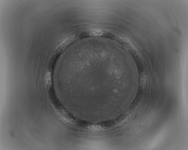 X0000112860598200908281605