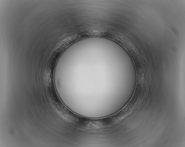 X0000112860599200908281605