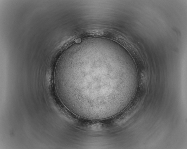 X0000112860600200908281605