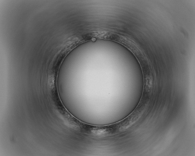 X0000112860602200908281605