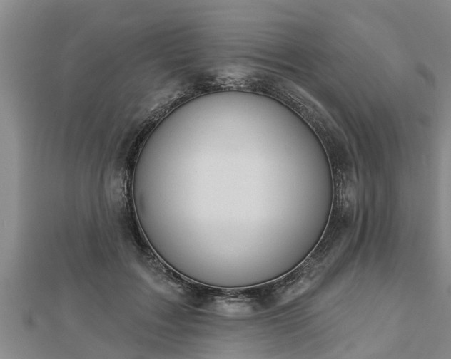 X0000112860603200908281605