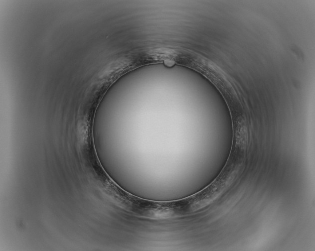 X0000112860604200908281605
