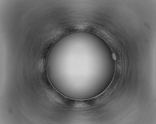 X0000112860605200908281605