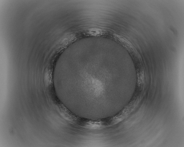 X0000112860606200908281605