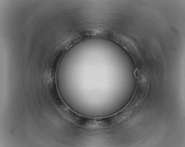 X0000112860607200908281605