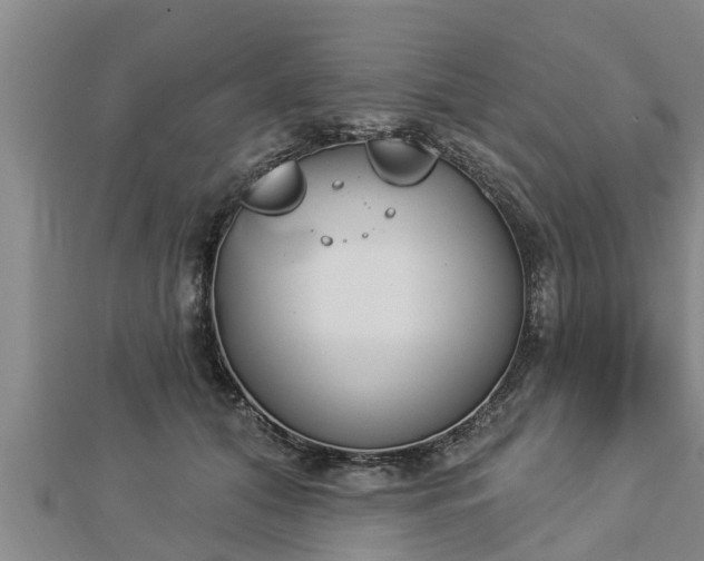 X0000112860608200908281605