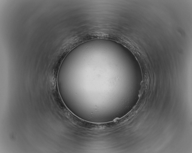 X0000112860609200908281605