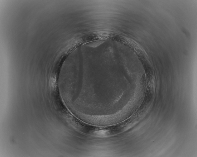 X0000112860610200908281605