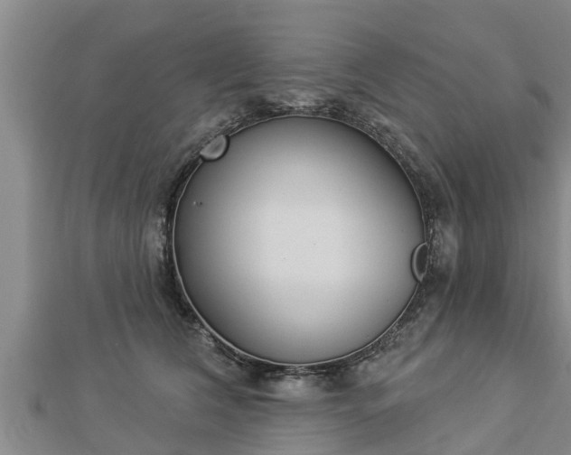 X0000112860612200908281605