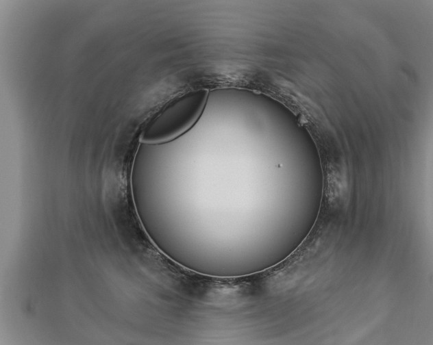X0000112860613200908281605