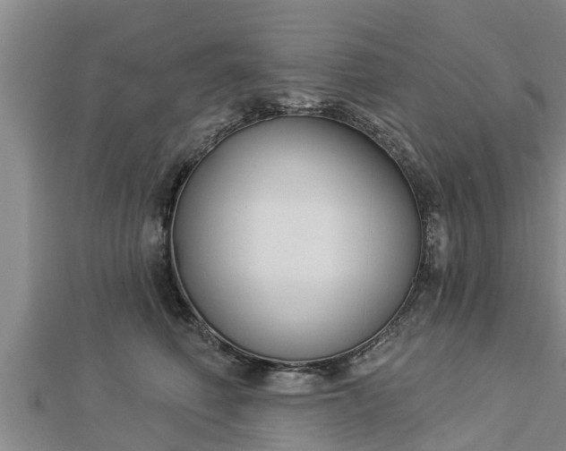 X0000112860614200908281605