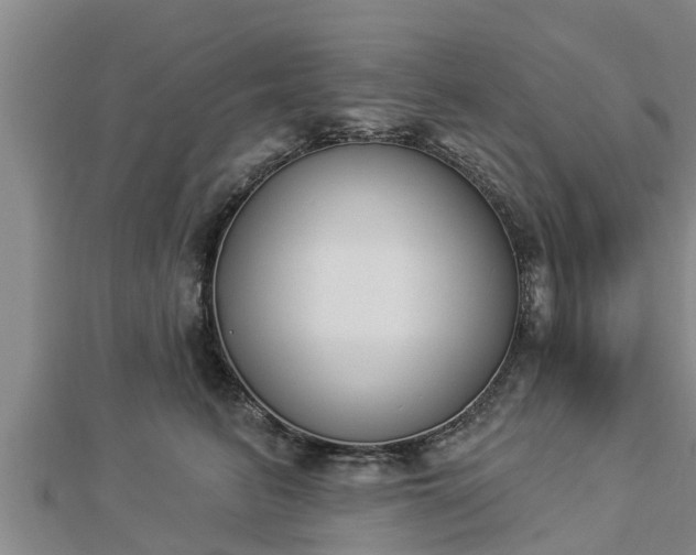 X0000112860615200908281605