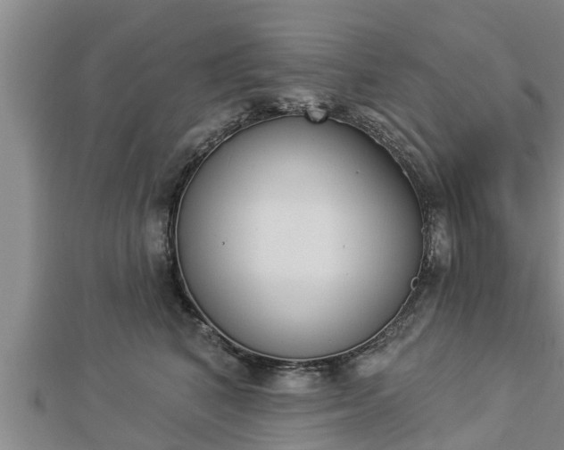 X0000112860616200908281605