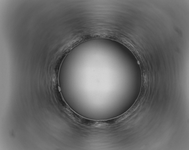 X0000112860617200908281605