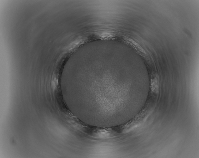 X0000112860618200908281605
