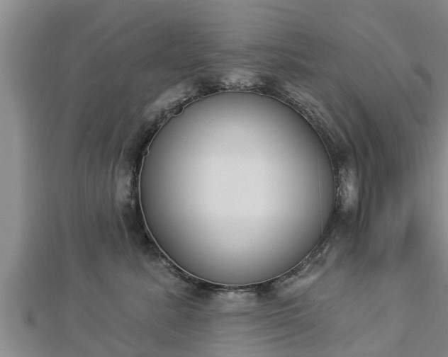X0000112860619200908281605