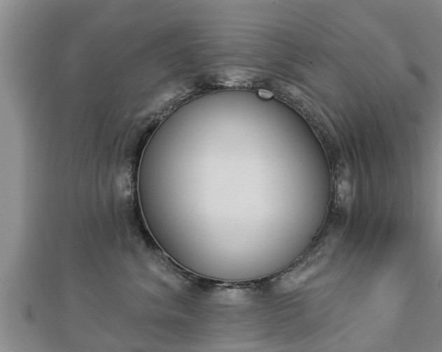 X0000112860620200908281605