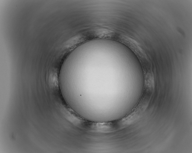 X0000112860622200908281605