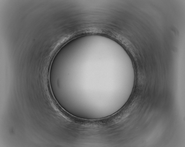 X0000112860625200908281604