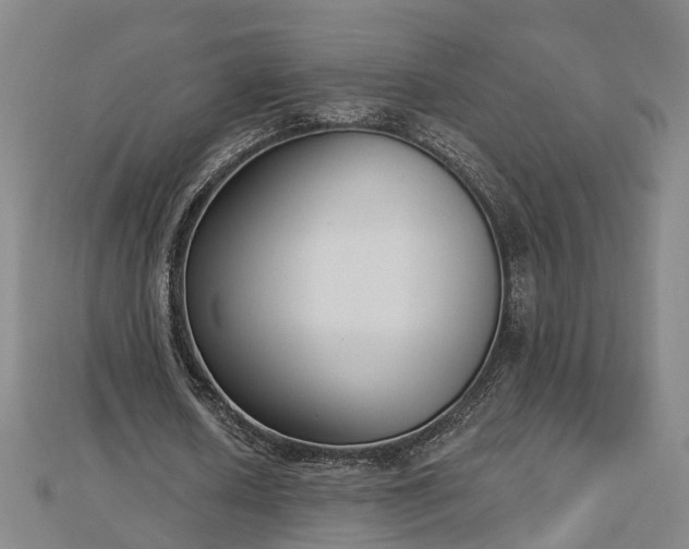 X0000112860626200908281604