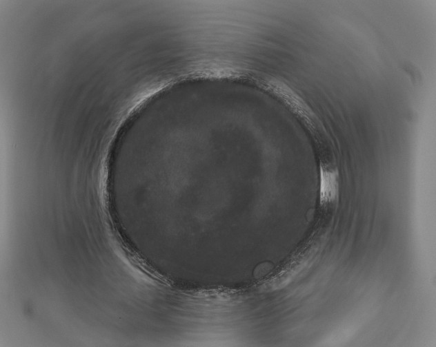 X0000112860627200908281604