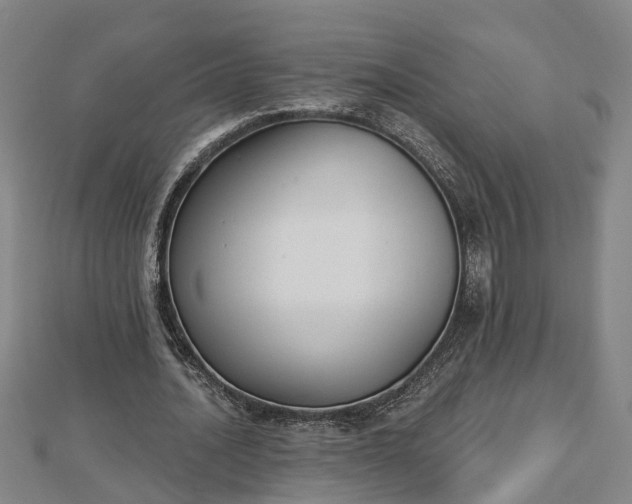 X0000112860628200908281604