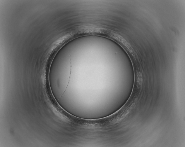 X0000112860629200908281604