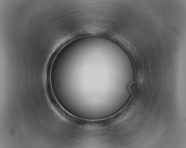 X0000112860630200908281604