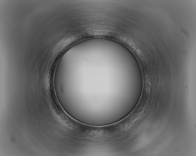 X0000112860631200908281605